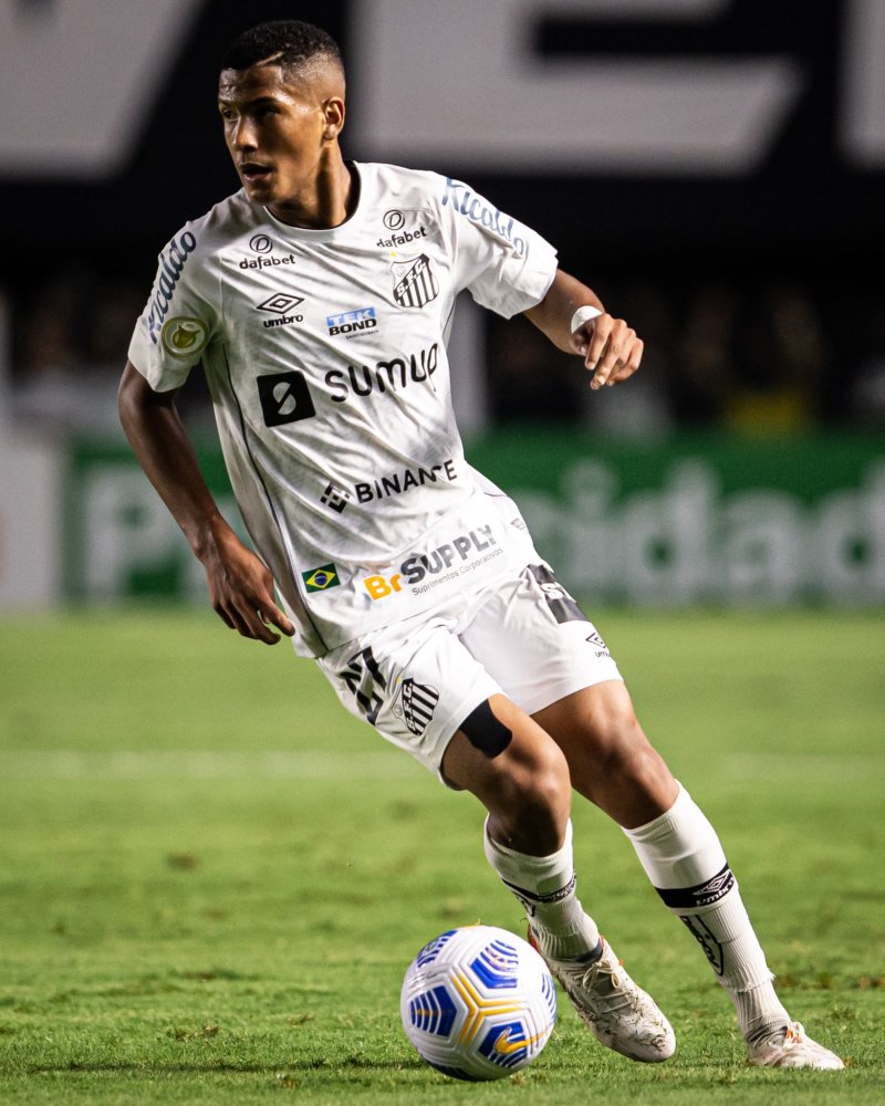 到专业的过 到专业的过